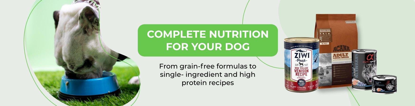 Single serve best sale wet dog food