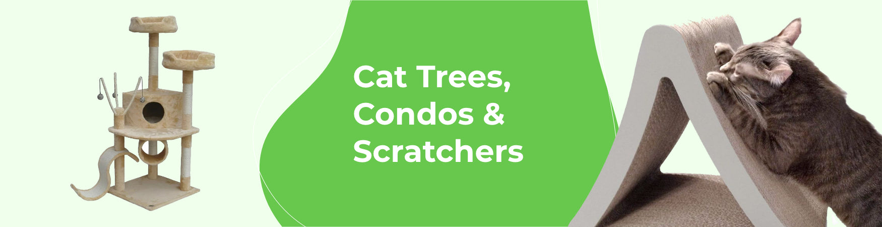 Cat hotsell trees online