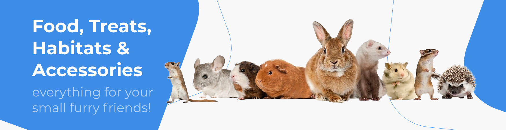 Hamster supplies hot sale online