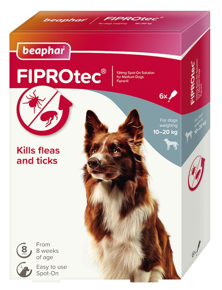 Beaphar flea on sale treatment for dogs