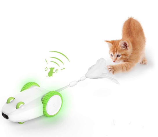 Mousr interactive hot sale robotic cat toy