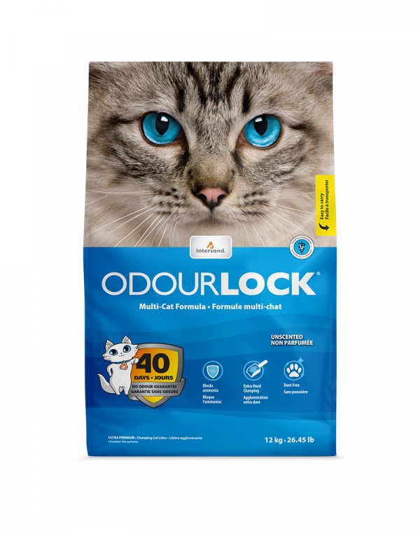 Unscented cat outlet litter reviews