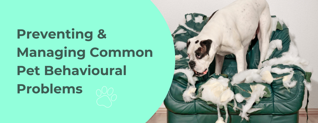 Preventing & Managing Common Pet Behavioural Problems – Pet Haus