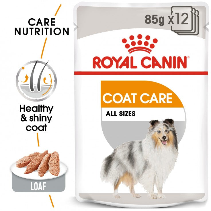 Buy Royal Canin Canine Care Nutrition Coat Beauty 1 Pouch Dog