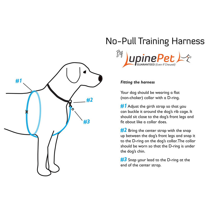 Lupine no best sale pull training harness