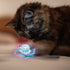 GiGwi - Jellyfish with Catnip and LED light - PetHaus General Trading LLC