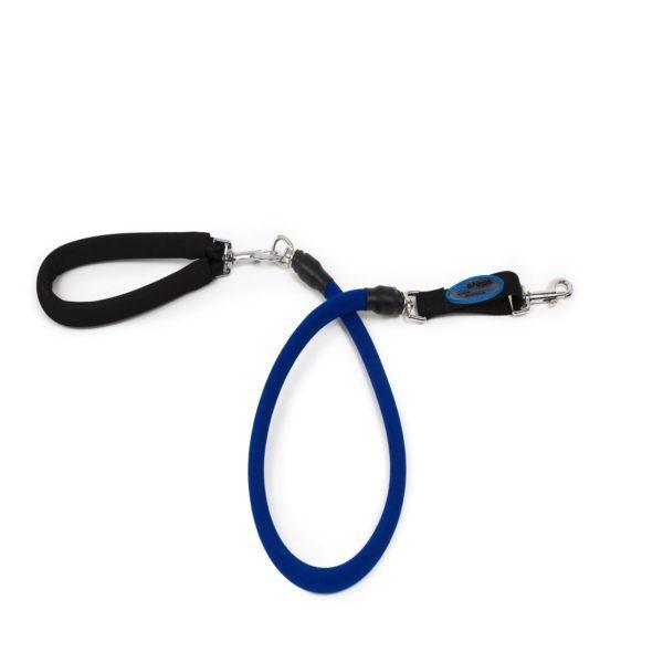 Stretchy discount dog leash