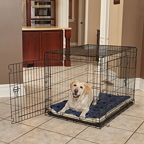 Midwest reversible 2024 pet bed