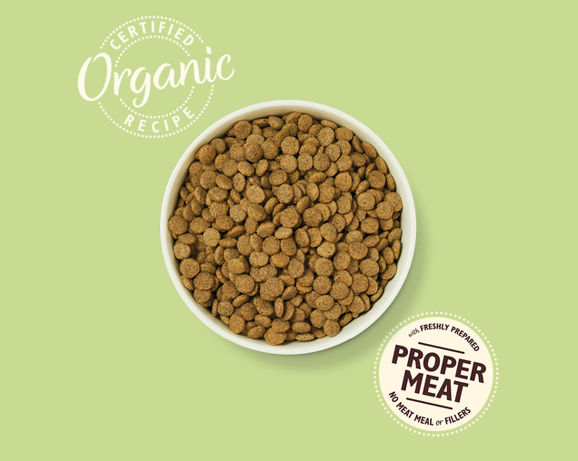 Organic chicken dog clearance food