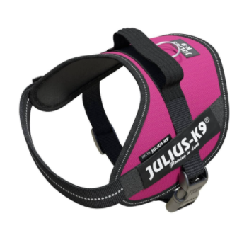 Julius k9 on sale power harness