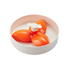 PetDreamHouse - Spin Interactive Feeder Bougainvillea Orange - PetHaus General Trading LLC